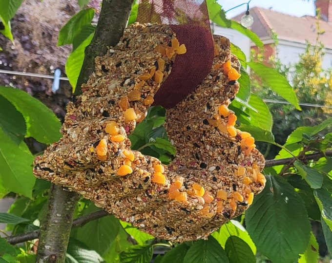 Heart  Shaped Bird Seed Wreath