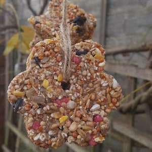 4 X hängender Vogelfutterspender - Gartenbaumschmuck 4er-Set