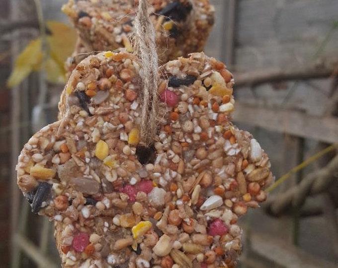 4 X Hanging Bird Seed Feeder - Garden Tree Ornament Set of 4
