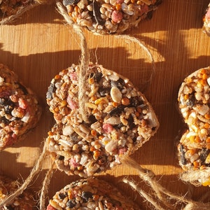 Bomboniere per matrimoni, cuori di semi di uccelli naturali e rustici