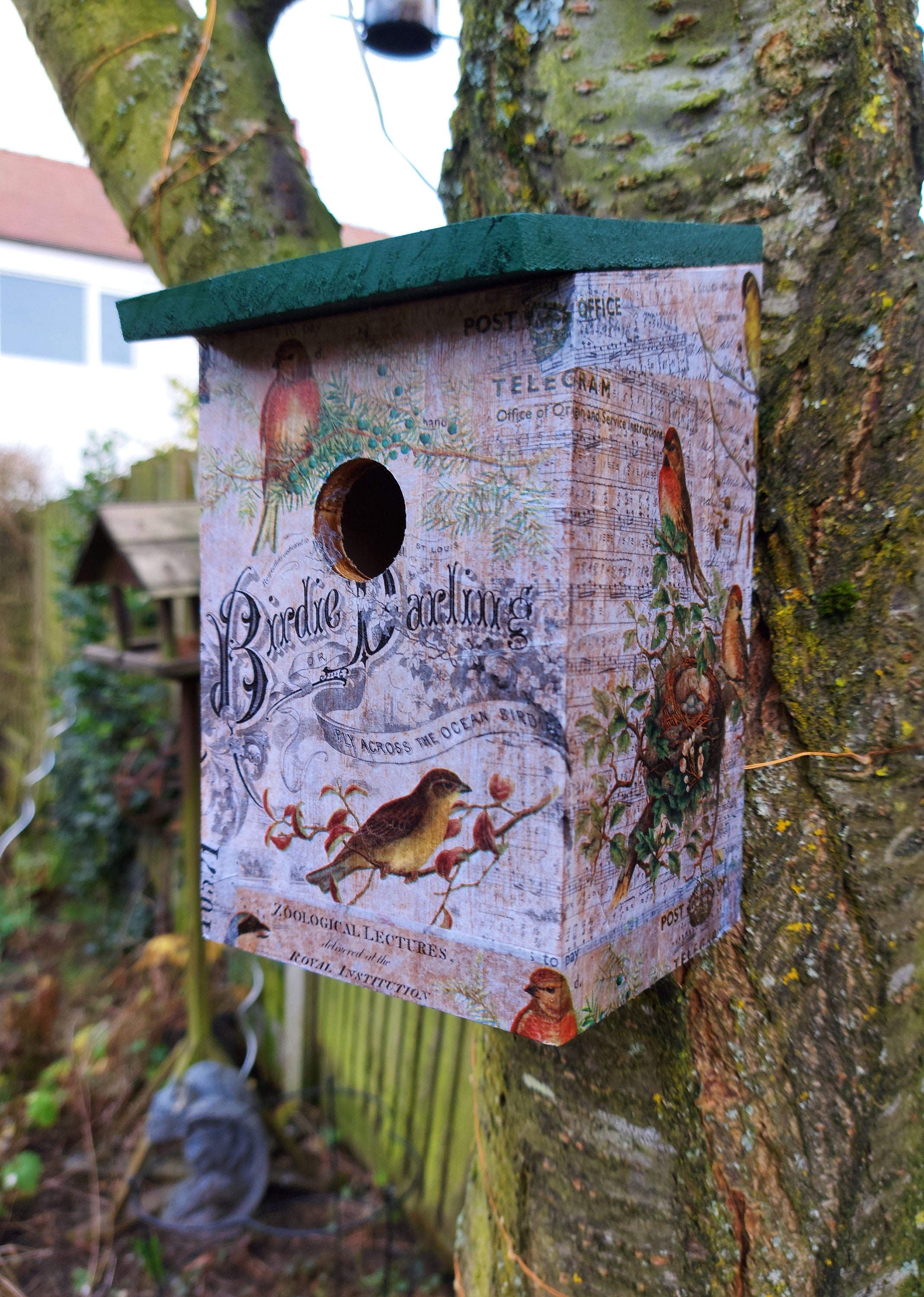 BirdHouse Nesting Box Garden Bird Box Bird Box Etsy