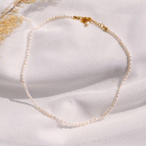 Aruba collier fait main avec de vraies perles deau douce/collier de perles simples/collier de perles naturelles Collier de perles réglable/ simple image 1
