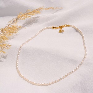 Aruba collier fait main avec de vraies perles deau douce/collier de perles simples/collier de perles naturelles Collier de perles réglable/ simple image 2