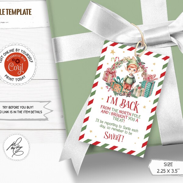 Editable Christmas Elf Gift Tag, Elf Boy Treat Tag, Elf I'm Back Present Tag, Santa Delivery Gift Tag, Elf Gift Tag Printable PM036