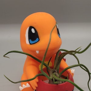 May include: An orange Charmander figure holding a red, white, and black Poké Ball planter with a small air plant. The figure has blue eyes and white teeth. The air plant has long, green leaves.