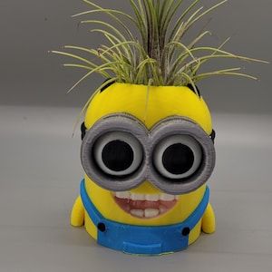 Może przedstawiać: Żółta doniczka w kształcie Minsa z niebieskim śliniakiem i szarymi okularami. Doniczka ma zieloną roślinę powietrzną rosnącą na górze.