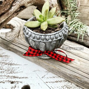 Vintage inspired cement succulent planter