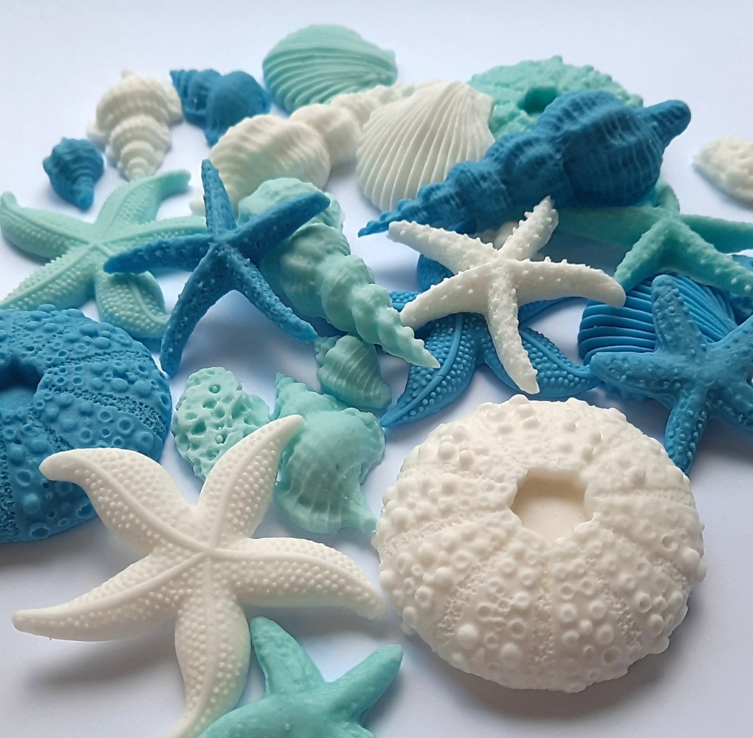 27 Edible Sugar Seashells Cake Cupcake Toppers Decorations - Etsy