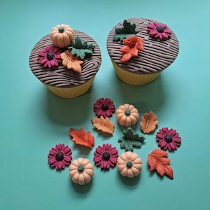 May include: Two cupcakes with brown wood-grain textured frosting, topped with small fondant pumpkins, green leaves, and magenta flowers. Below are loose fondant decorations including orange and green leaves, magenta flowers, and light orange pumpkins.