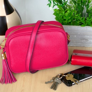 Tassel Crossbody Bag/Camera Bag Shoulder Bag for Ladies Faux Leather Plum