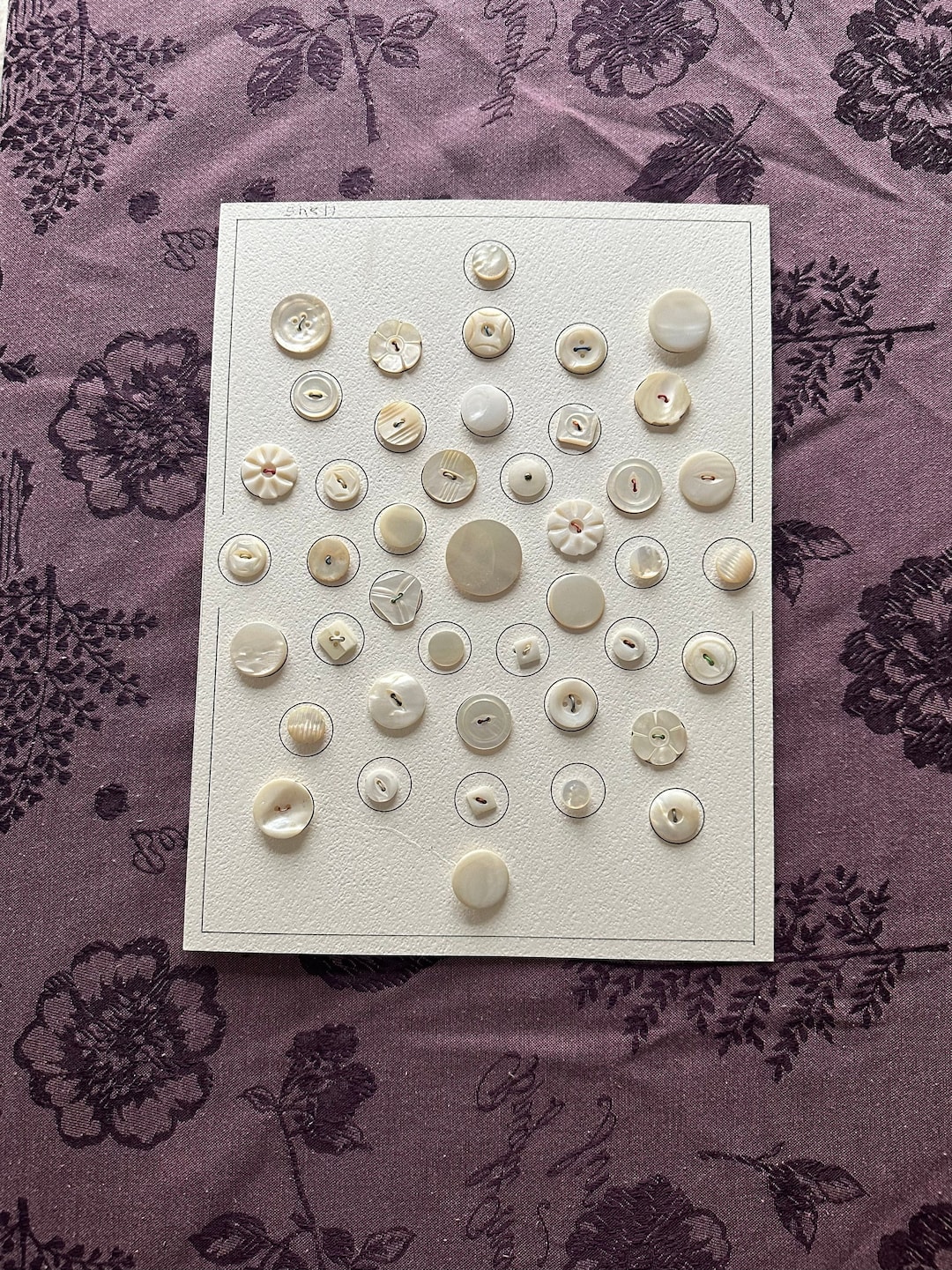 Vintage Button Collection Etsy