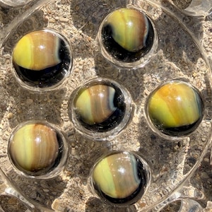 Puede incluir: Cinco canicas de vidrio esféricas dispuestas en una bandeja circular de vidrio transparente. Cada canica presenta un patrón de color distintivo con un remolino amarillo y marrón translúcido sobre una base negra profunda y brillante.