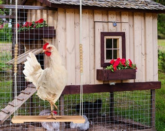 Chicken Swing For Hens In Coop
