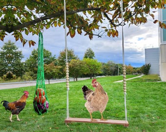 Chicken Swing Bundle Feeder