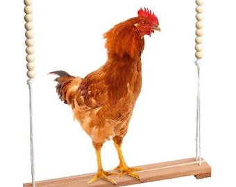 Chicken Swing For Hens In Coop