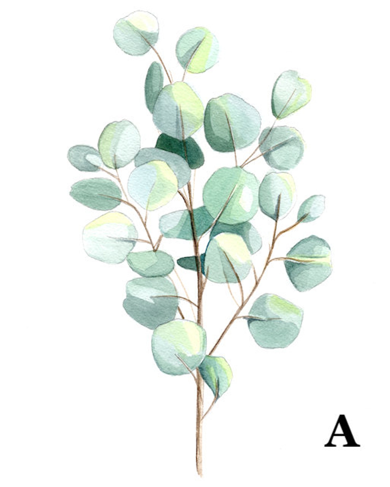 Eucalyptus Prints Set of 2 Etsy