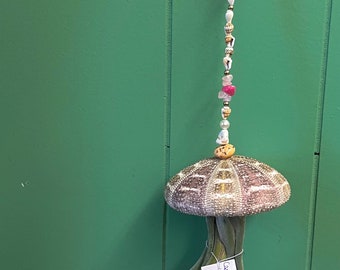 glow in the dark XL sea urchin jellyfish air plant