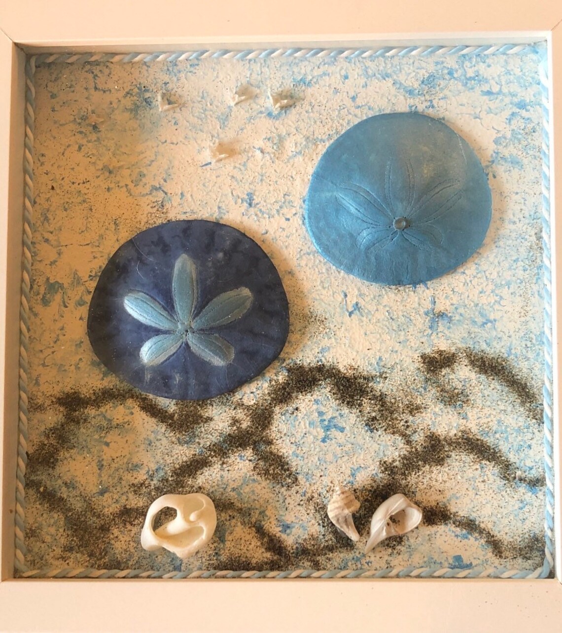 8 x 8 sand dollar shadow box art Etsy