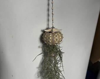 1  glow in the dark Sputnik sea urchin jellyfish with Spanish moss. it is hand beaded with fire polish beads from shipwreck beads in Olympia