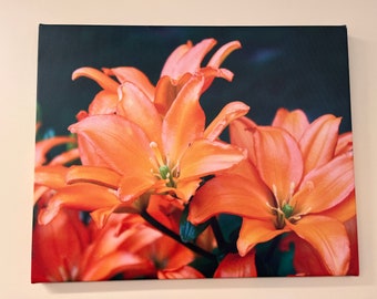 Orange lilies 16” x 20” wrapped canvas photo