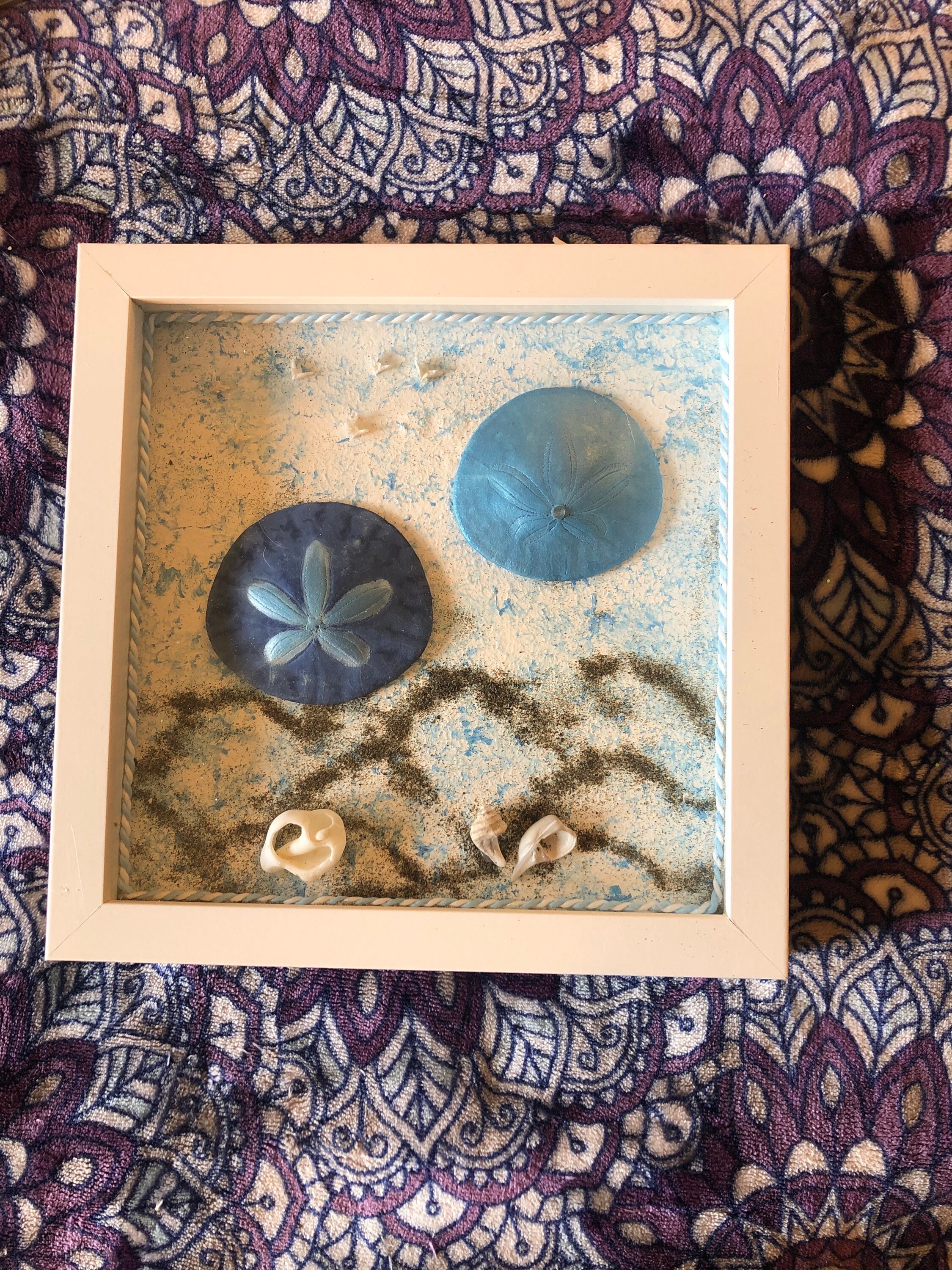 8 x 8 sand dollar shadow box art | Etsy 8 x 8 sand dollar shadow box art | Etsy