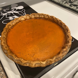 Faux/Fake Pumpkin Pie 9 1/2”