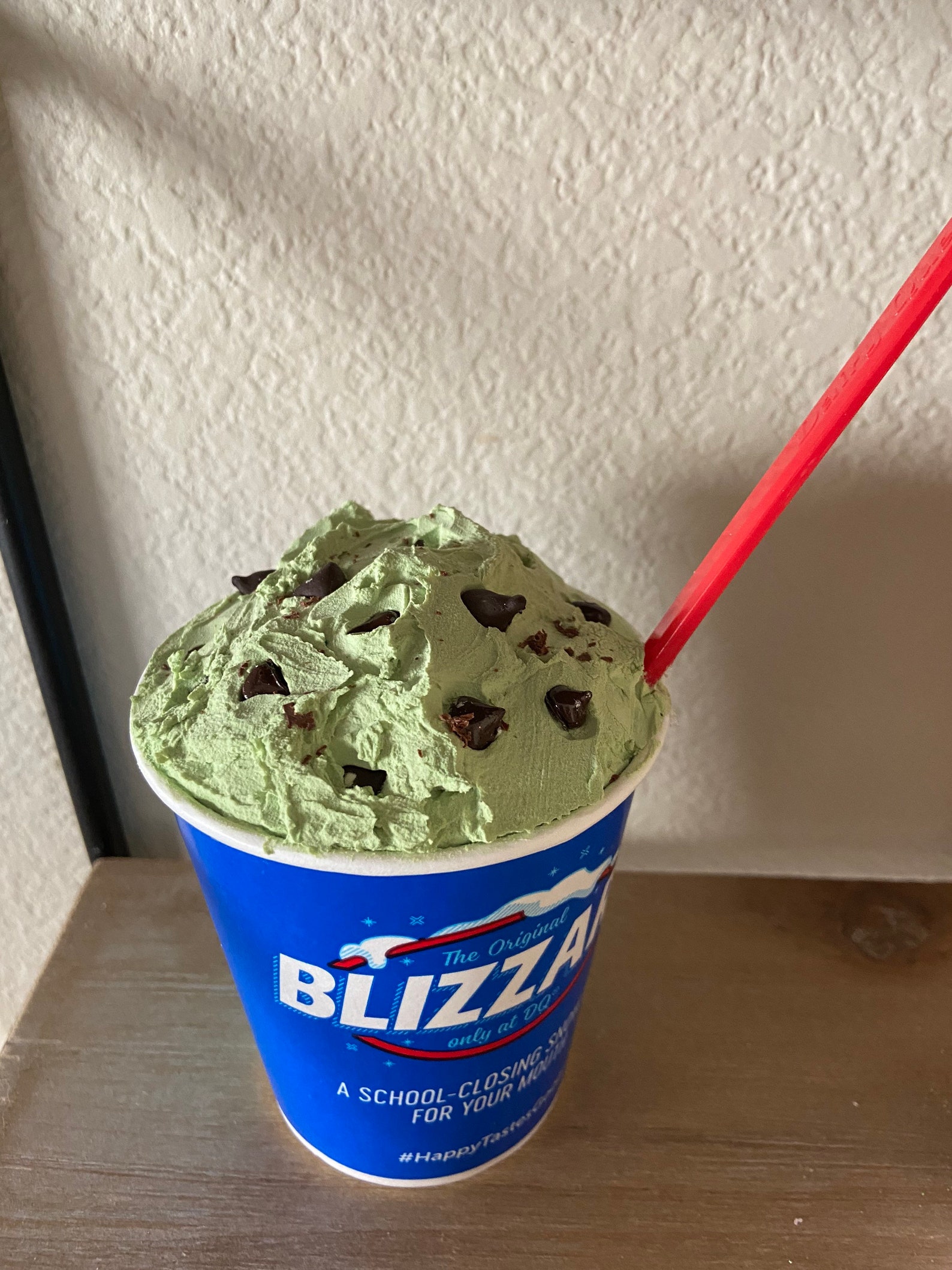 Faux Dairy Queen Mint Chocolate Chip Blizzard Etsy UK