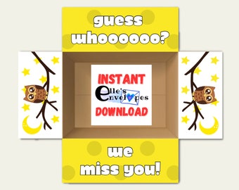 Miss You Care Package / Instant Download / Printable / College Care Package/ Box Flaps / Owl care package