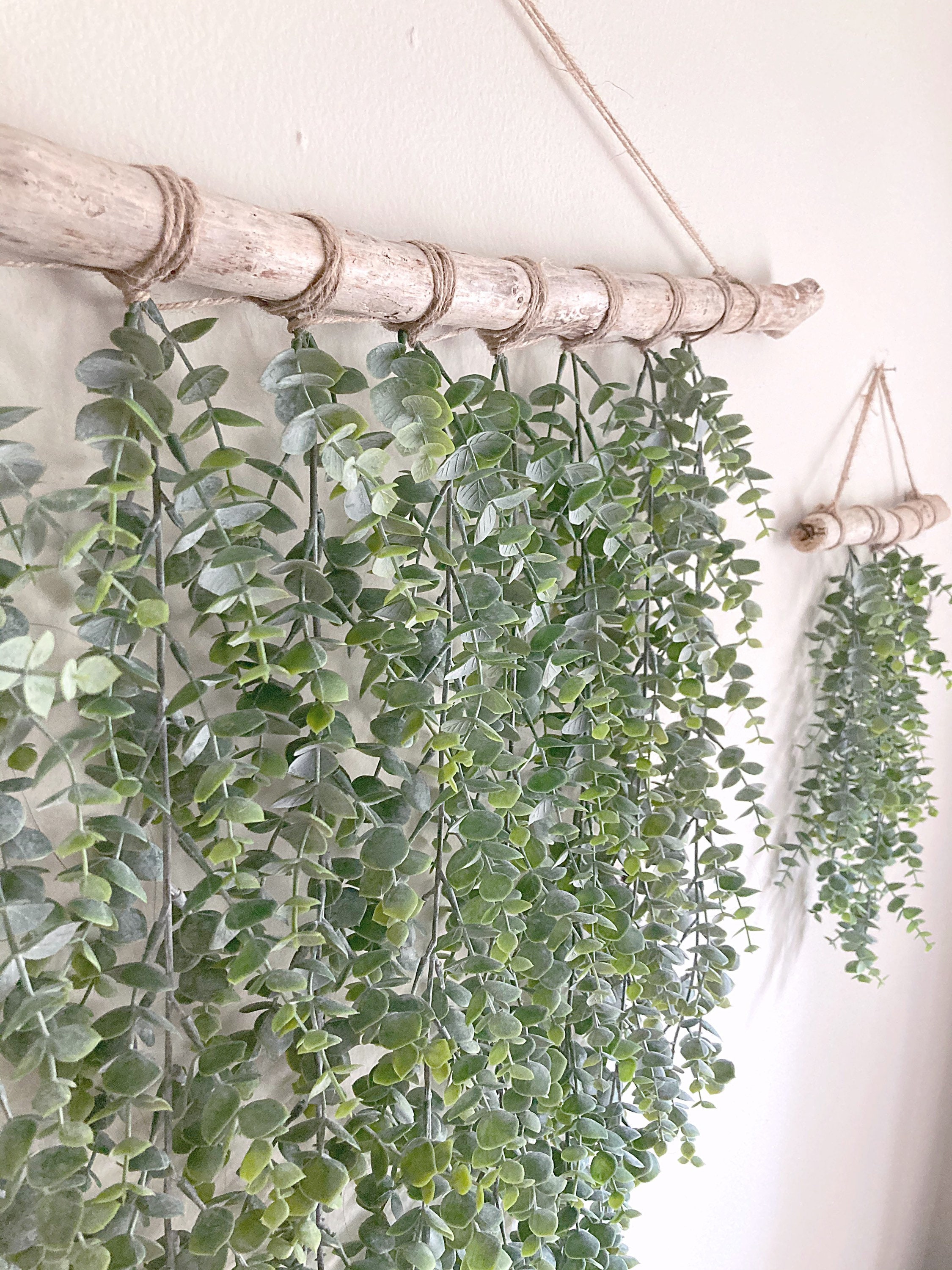 Eucalyptus Wall Hanging Set of 3 Etsy