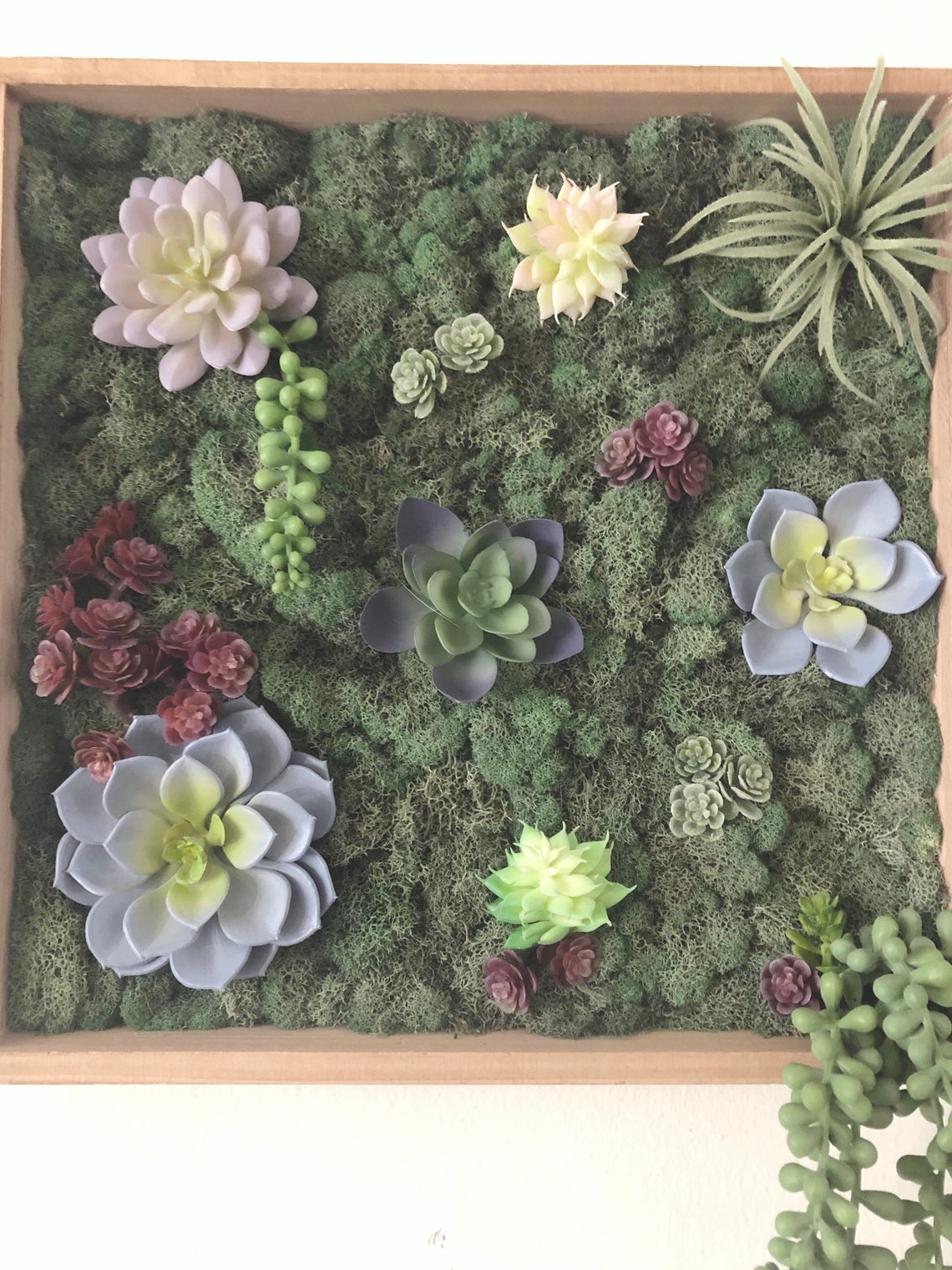 Succulent Moss Wall Art Etsy