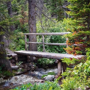 Rustic Footbridge, Grinnell Glacier Trailhead, Glacier National Park, Montana. Available in multiple formats.
