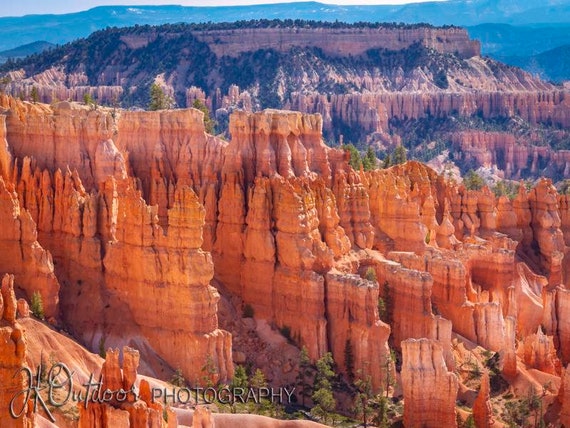 Bryce Wood Matted Collection - 11X14, 16X20 - Multiple Colors