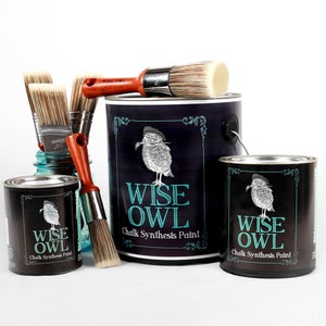 Pu&ograve; includere: Due barattoli di vernice a gesso Wise Owl Chalk Synthesis Paint, uno pi&ugrave; grande e uno pi&ugrave; piccolo, con sfondo nero e logo di gufo turchese. I barattoli sono circondati da pennelli con setole naturali.