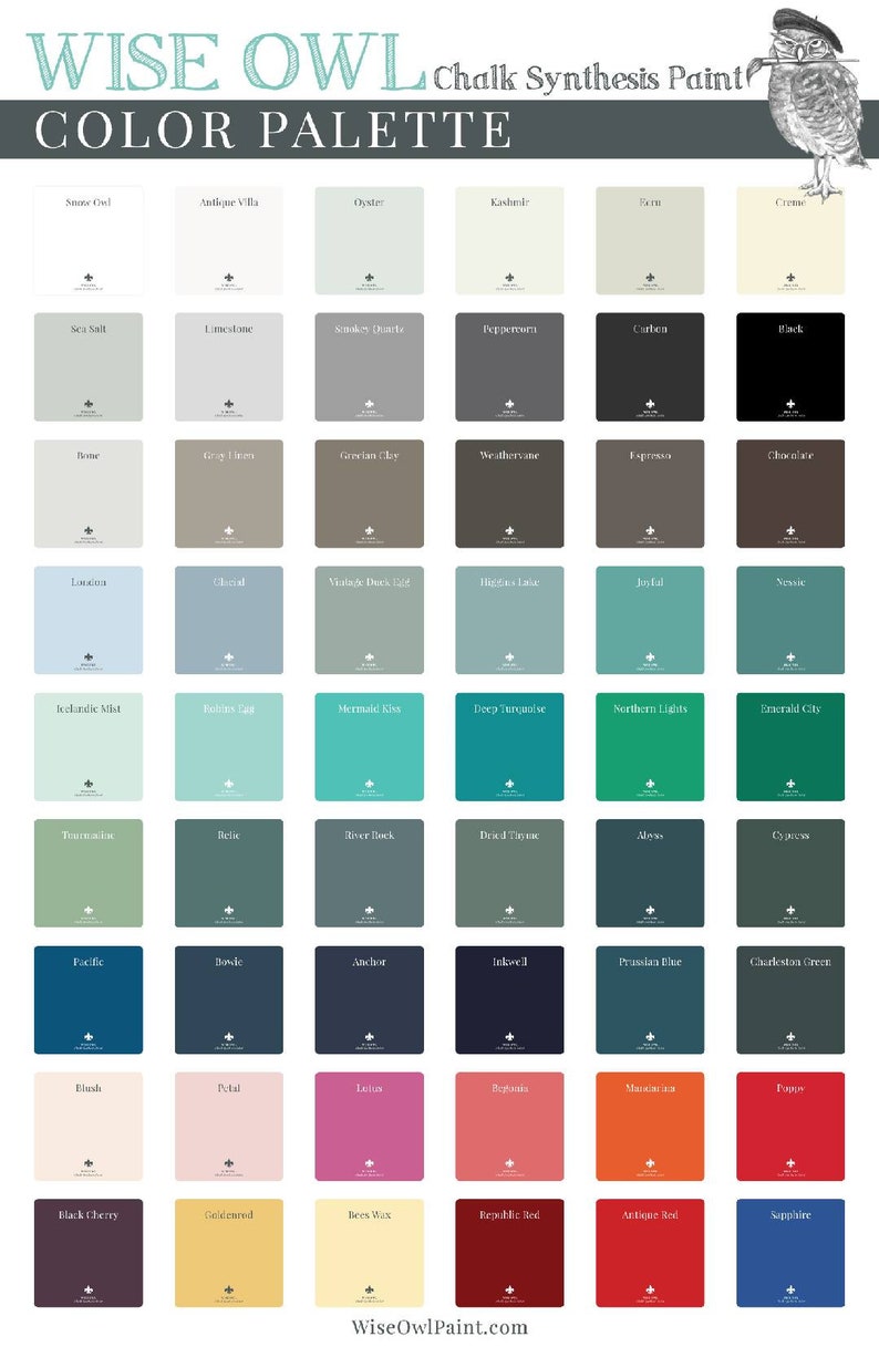 Pu&ograve; includere: Una cartella colori che mostra 48 colori di vernice diversi di Wise Owl Chalk Synthesis Paint. I colori sono disposti in una griglia con i nomi di ogni colore elencati sotto ogni campione di colore.