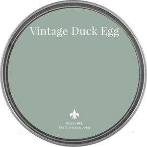 Vintage Duck Egg- Wise Owl Chalk Synthesis Paint