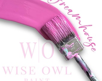 DREAMHOUSE - LIMITED EDITION  Wise Owl Chalk Synthesis Paint