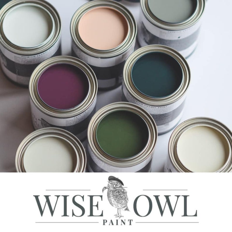 Peppercorn one Hour Enamel Wise Owl Paint Perfect for Etsy