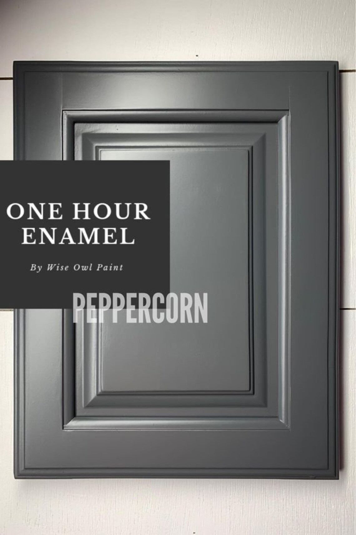 Peppercorn one Hour Enamel Wise Owl Paint Perfect for Etsy