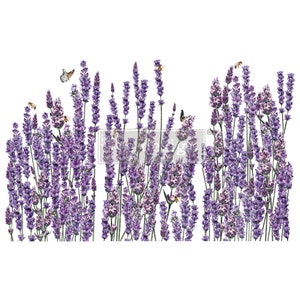 K&ouml;nnte beinhalten: Ein Aquarellbild eines Feldes mit lila Lavendelbl&uuml;ten, um das herum Schmetterlinge und Bienen fliegen.