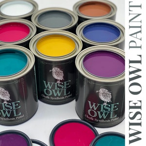 Pu&ograve; includere: Una collezione di barattoli di vernice di vari colori, tra cui turchese, viola, giallo, rosa, blu, grigio, bianco e marrone. I barattoli sono etichettati con "Wise Owl Chalk Synthesis Paint".