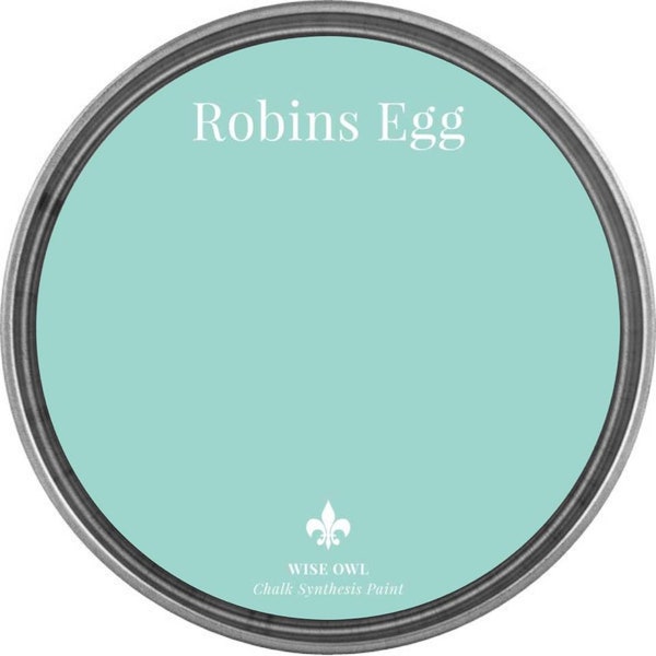 Robins Egg- Wise Owl Chalk Synthesis Paint