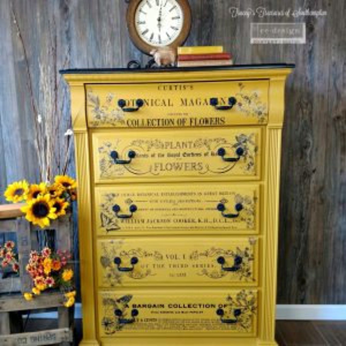 NEWBOTANICAL MAGAZINE Black and White Rub On Transfers For Etsy