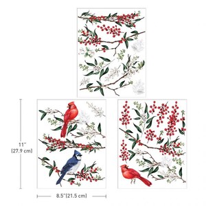 NEW- WINTERBERRY 8.5" X 11"" Rub On Transfers For Furniture, Furniture Decals, ReDesign With Prima Transfers