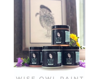 May include: A display of Wise Owl Paint jars with black lids, featuring an owl logo. The jars are arranged in a stack, with a framed owl drawing in the background. The word "Blaze" is visible on one jar. Yellow flowers and purple flowers are also present.