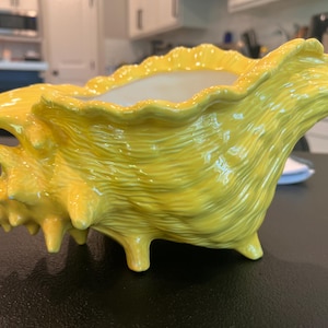May include: A bright yellow ceramic planter shaped like a conch shell. The exterior features a textured, ribbed surface with prominent spikes and a glossy finish. The interior of the shell is smooth and white, providing a contrast to the vibrant yellow exterior.