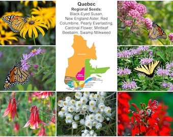 Quebec Native Deluxe Regional Seed Collection with FREE Shipping!