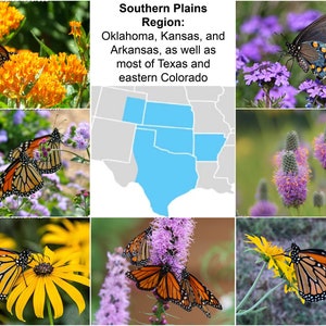 Southern Plains Region Native Deluxe Seed Collection with FREE Shipping!