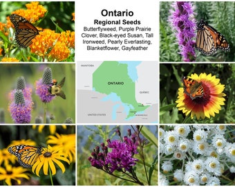 Ontario Native Deluxe Regional Seed Collection with FREE Shipping!