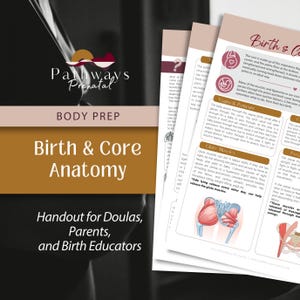 May include: A stack of educational handouts titled Pathways Prenatal Body Prep Birth & Core Anatomy. The pages feature text and anatomical illustrations of the pelvis and glute muscles, designed for doulas, parents, and birth educators.