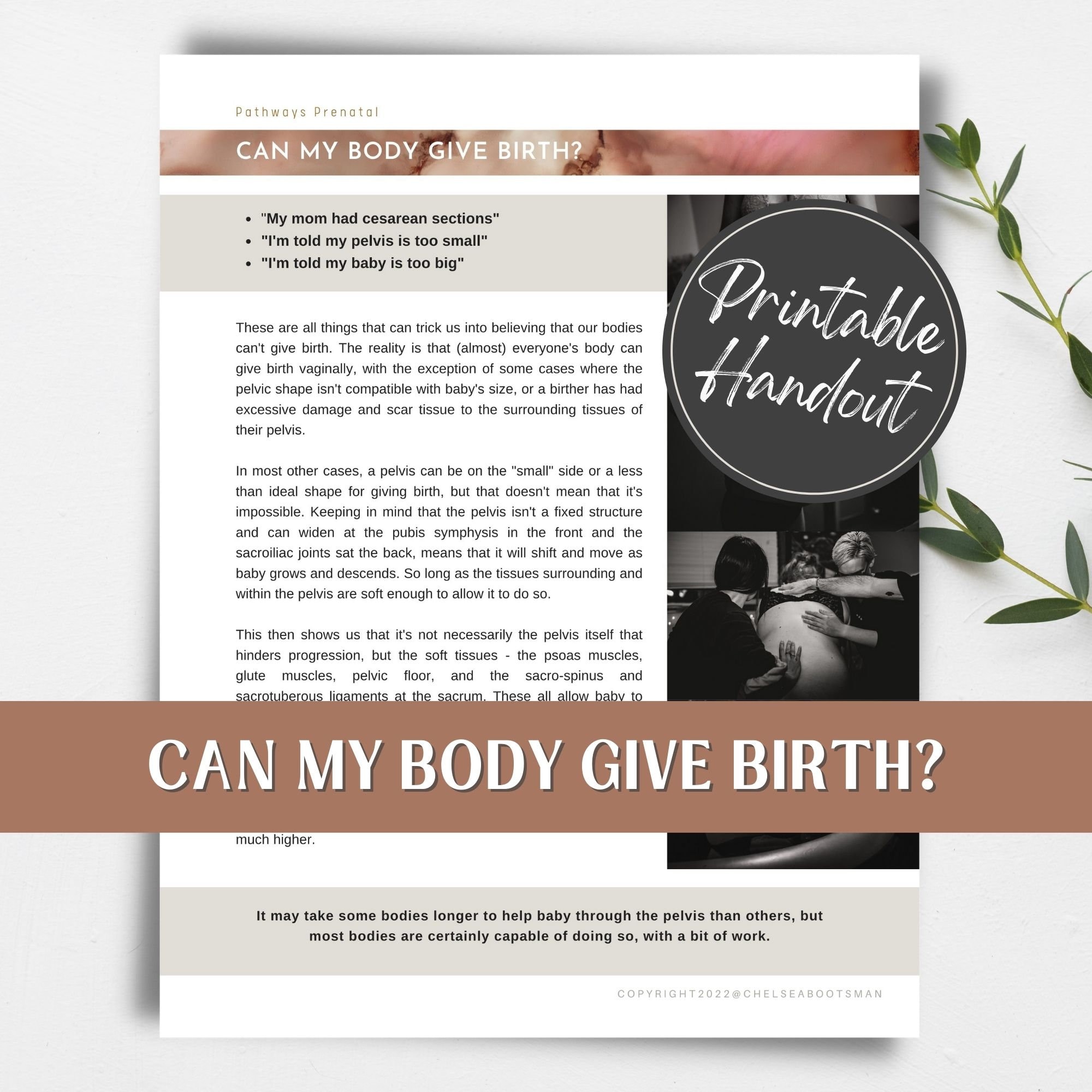 Can My Body Give Birth? Printable handout for parents, doulas, and childbirth educators. Birth preparation. Childbirth education.